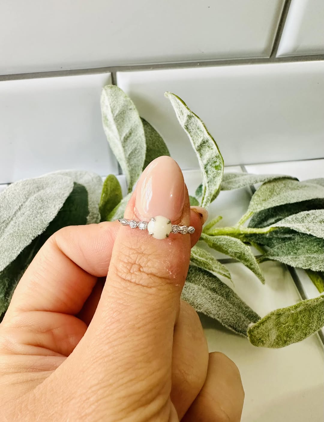 The Nellie Ring